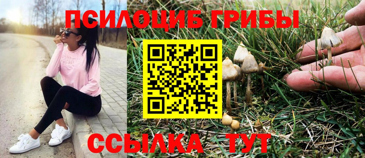 Псилоцибиновые грибы мухоморы  Вход с VPN  Карталы  Галлюциногенные грибы прущие грибы 